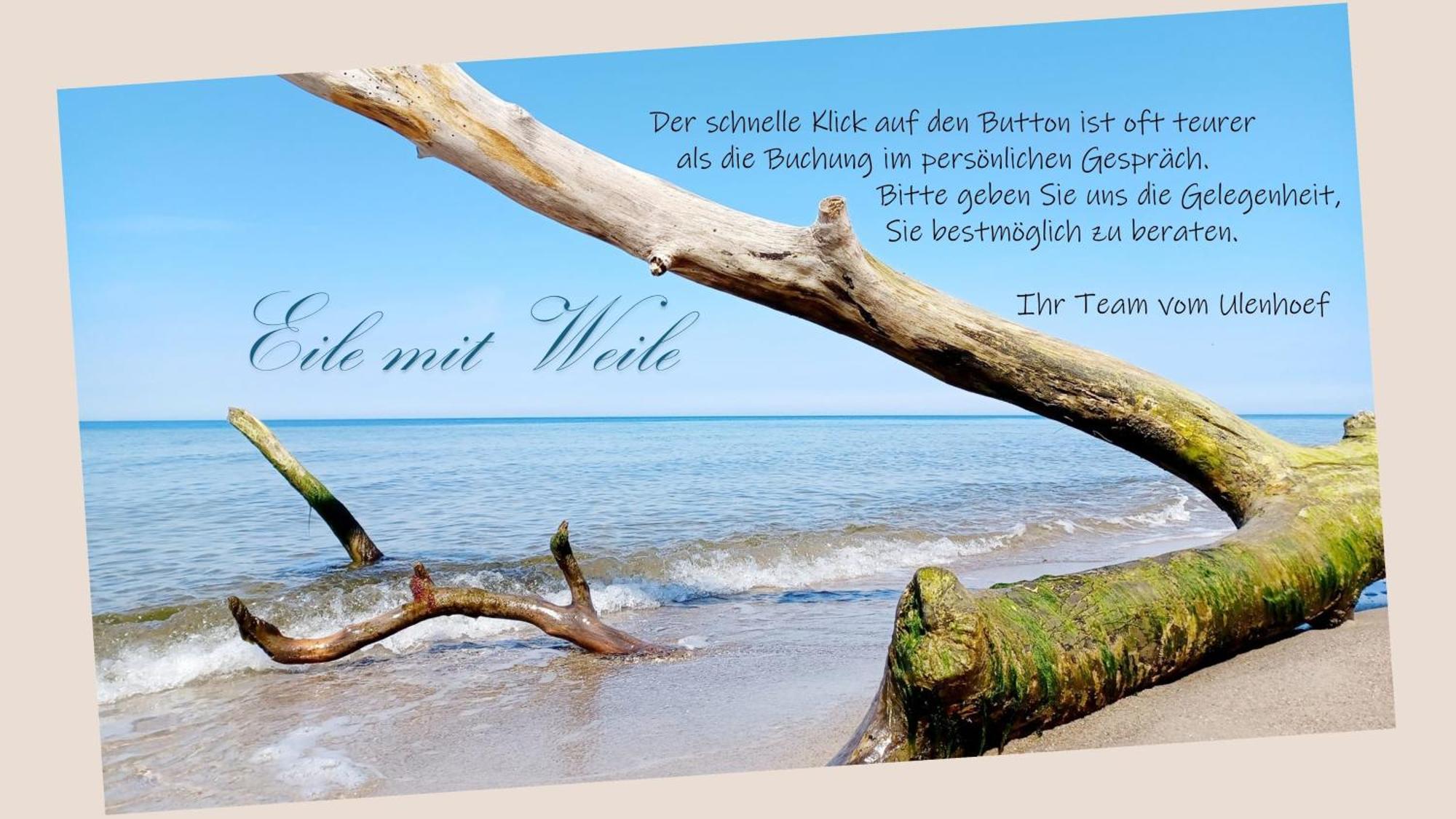 Fewo Weide - Ulenhoef Prerow Exteriér fotografie
