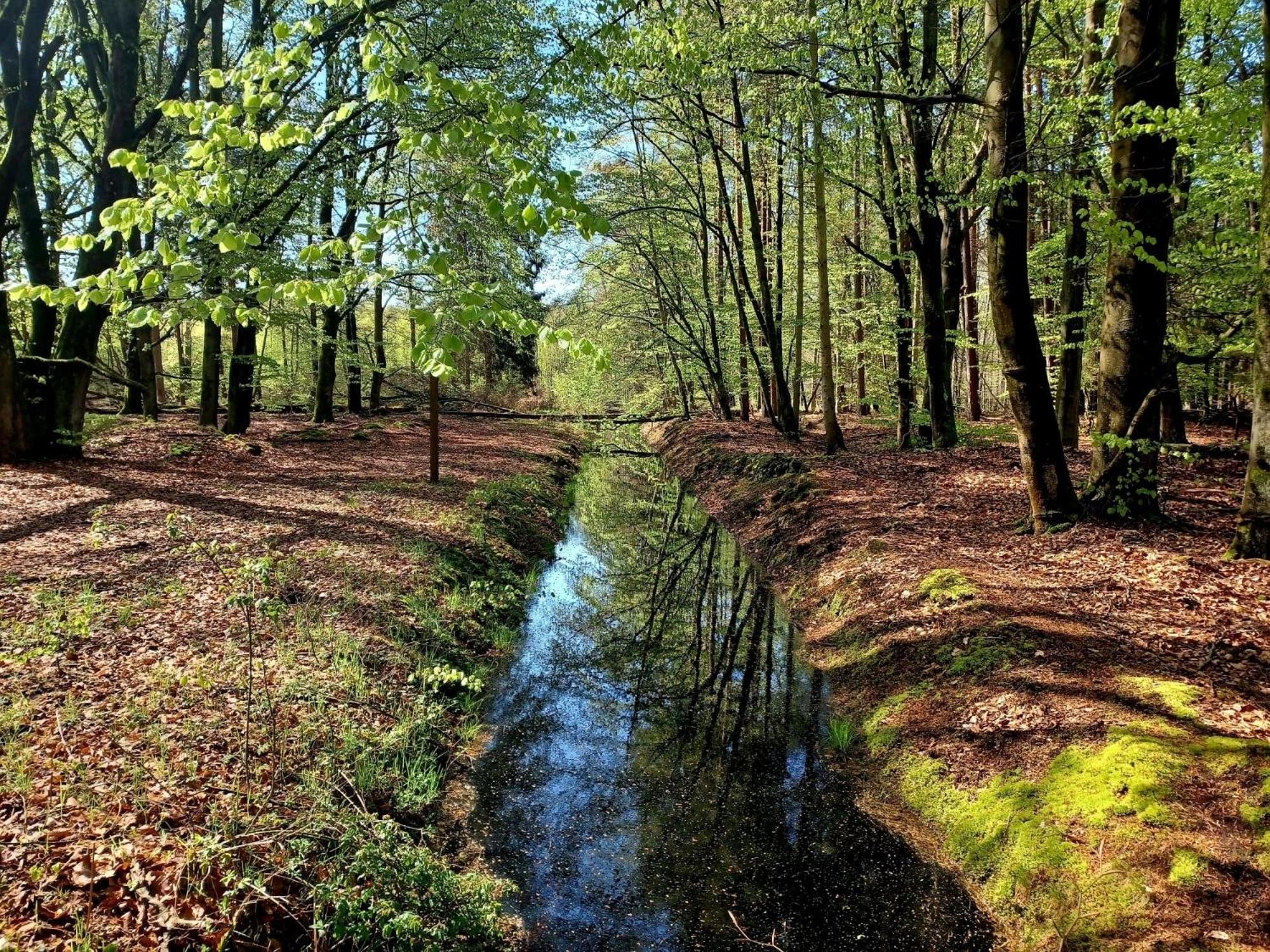 Fewo Weide - Ulenhoef Prerow Exteriér fotografie